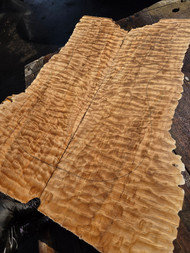 Quilted maple Bookmatch 11 . 2.16.26