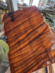 curly redwood RED C 3.4.26