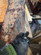 some saw back bottom