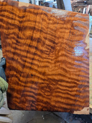 Curly redwood RED A 3.22.26