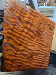 Curly redwood RED 3 3.22.26