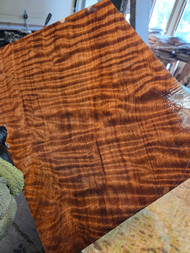 Curly redwood RED C 3.22.26