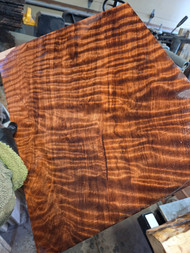 Curly redwood RED D 3.22.26