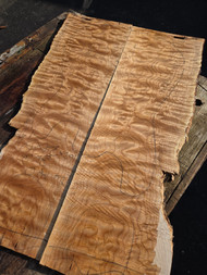 Discount Quilted maple Bookmatch 3.10.26.001