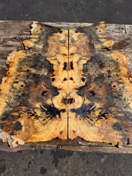 buckeye burl 2pc bookmatch XL D
