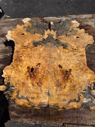 buckeye burl 2pc bookmatch K