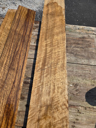 curly black limba  neck blank XL 1" 4.20.26 C