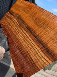 Bastogne walnut 1pc top 4.10.26 003