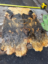 buckeye burl 2pc bookmatch 6.18.26.003