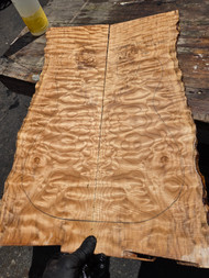 Quilted maple bookmatch  top 6.18.26.001
