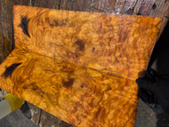 Gold Camphor burl bookmatch 7.10.26.003