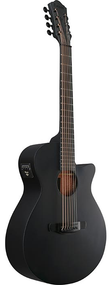 Ibanez AEG721 BOT 7-String Black Out