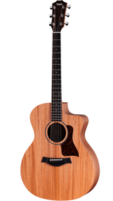 Taylor 24ce