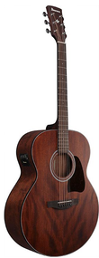 Ibanez AJ54E OPN Open Pore Natural