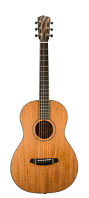 Breedlove Roots Parlor RTP MMe w/case