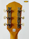 Image 6 Image 6