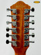 Image 6 Image 6