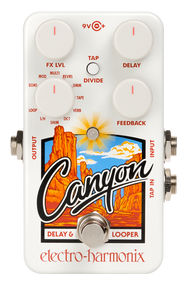 Electro-Harmonix Canyon Delay & Looper