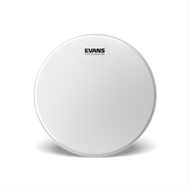 Evans B10UV2 10" UV2 Coated