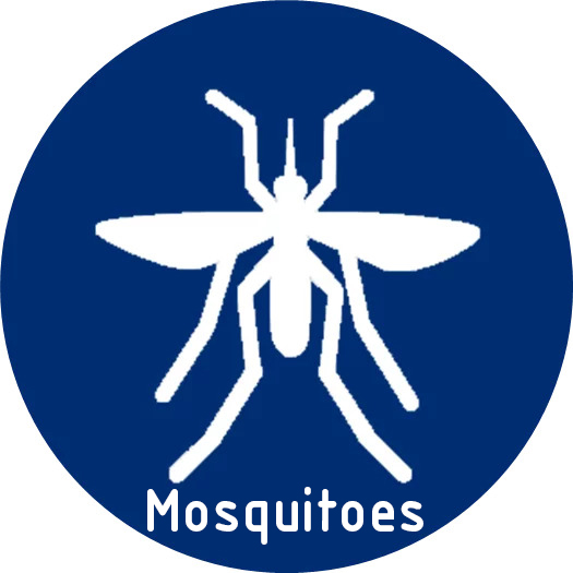 icon-mosquito-name.jpg
