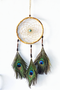 Dream catchers are one of the most fascinating traditions of Native Americans.

This handmade dream catcher is intended to protect the sleeping individual from negative dreams while letting positive dreams through. The positive dreams will slip through the center of the dream catcher, and glide down the feathers to the sleeping person below. The negative dreams will get caught up in the web, and expire when the first rays of the sun strike them.

Measurements: Top ring is 7" diameter, length is approximately 19".
Dimensions will vary slightly due to the handmade nature of this product.