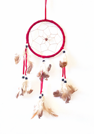 Dream catchers are one of the most fascinating traditions of Native Americans. 

This handmade dream catcher is intended to protect the sleeping individual from negative dreams while letting positive dreams through. The positive dreams will slip through the center of the dream catcher, and glide down the feathers to the sleeping person below. The negative dreams will get caught up in the web, and expire when the first rays of the sun strike them.

Measurements: Top ring is 5" diameter, length is approximately 12".
Dimensions will vary slightly due to the handmade nature of this product.