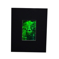 3D Alien Queen 2-Channel Hologram Picture (MATTED), Collectible Photopolymer Type Film