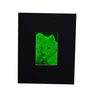 3D Arctic Wolf 2-Channel Hologram Picture (MATTED), Collectible Photopolymer Type Film
