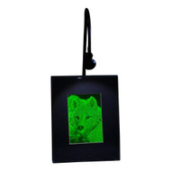 3D Arctic Wolf 2-Channel Hologram Picture (LIGHTED DESK STAND), Collectible Photopolymer Type Film