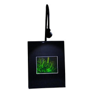 3D Butterfly Hologram Picture (LIGHTED DESK STAND), Collectible on Silver Halide Type Film