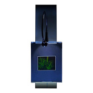 3D Butterfly Hologram Picture (LIGHTED WALL DISPLAY), Collectible on Silver Halide Type Film