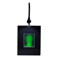3D Cactus Hologram Picture (LIGHTED DESK STAND), Collectible on Silver Halide Type Film