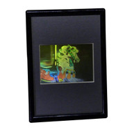 3D Carosel Horse True Colour Hologram Picture (FRAMED), Collectible Embossed Type Film
