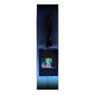3D Carosel Horse True Colour Hologram Picture (LIGHTED WALL DISPLAY), Collectible Embossed Type Film