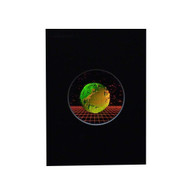 Earth With Grid Hologram Picture (MATTED), 3D Embossed Type Animated Stereogram