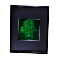 3D FERENGI KLINGON BORG Hologram Picture (FRAMED), Collectible Multi-Channel Reflection Photopolymer Film