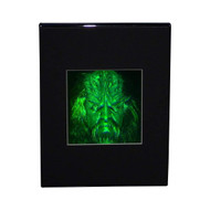3D FERENGI KLINGON BORG Hologram Picture (MATTED DESK STAND), Collectible Multi-Channel Reflection Photopolymer Film