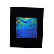 3D Foreign Coins Hologram Picture(MATTED), Collectible EMBOSSED Type Film
