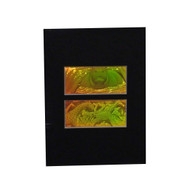 3D Girafe / Hippo 2-Channel 2-Up Hologram Picture (MATTED), Collectible Photopolymer Type Film