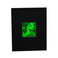 3D Jurassic Spitter Dinasaur 2-Channel Hologram Picture (MATTED), Collectible Photopolymer Type Film