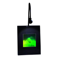 3D Mouse Multi-Channel Hologram Picture (LIGHTED DESK STAND), Collectible Polaroid Photopolymer Film