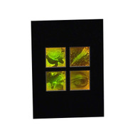 3D Nature 4-up 2-Channel Hologram Picture (MATTED), Collectible Polaroid Photopolymer Film