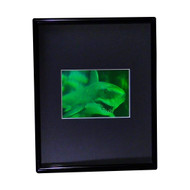 3D Shark (Great White) 2-Channel Hologram Picture (FRAMED), Collectible Polaroid Photopolymer Film