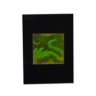 3D Snake Hologram Picture (MATTED), Collectible Polaroid Photopolymer Film
