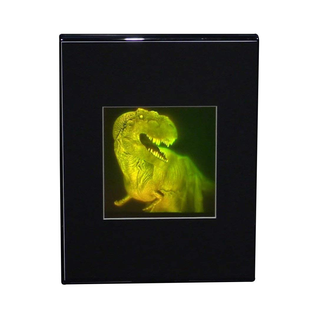 Collectible Hologram Picture Torso 2-Channel Anotomically Correct Hologram Picture Lighted Desk Stand