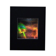 3D Teasel Plant Hologram Picture (MATTED), Collectible EMBOSSED Type Film
