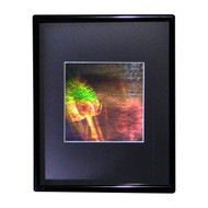 3D Teasel Plant Hologram Picture (FRAMED), Collectible EMBOSSED Type Film