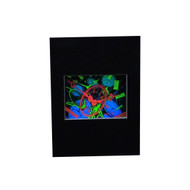 TIME Hologram Picture (MATTED), 3D Collectible Embossed Type Animated Stereogram