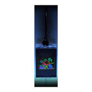 TIME Hologram Picture (LIGHTED WALL DISPLAY), 3D Collectible Embossed Type Animated Stereogram