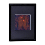 Torso 2-Channel Anotomically Correct Hologram Picture (FRAMED), Collectible Hologram Picture